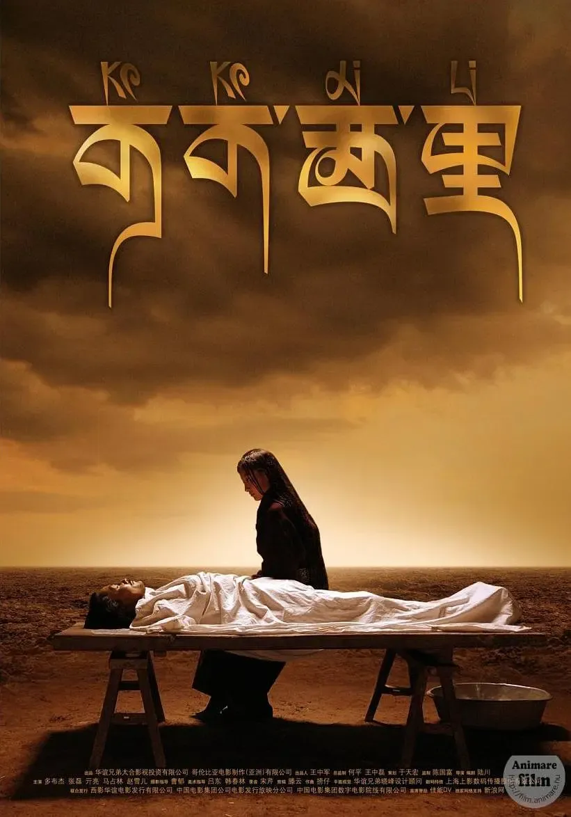 可可西里 高分经典