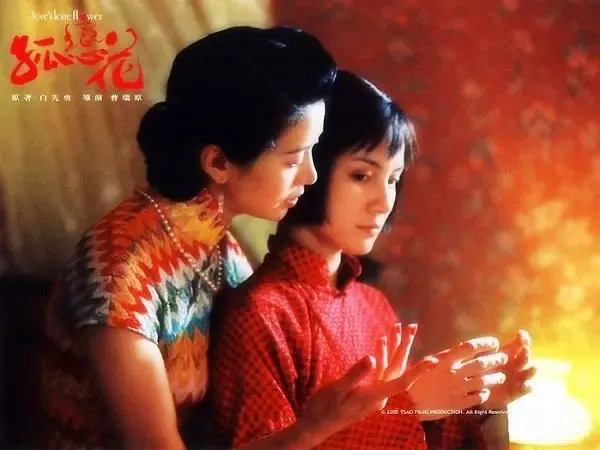孤恋花 高分多奖